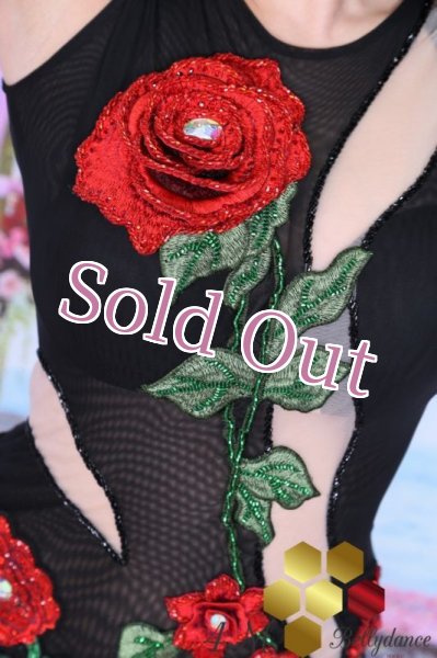 画像5: Emanzaki/Hodazaki  No,67 (5)