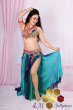 画像4: Aziza No,116 (4)