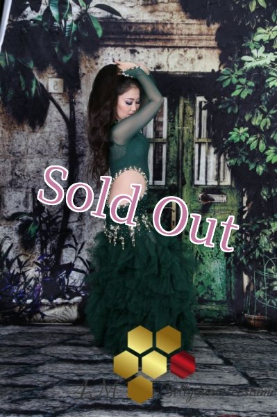 画像7: Emanzaki/Hodazaki  No,62 (7)