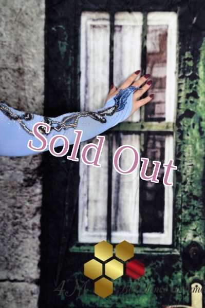 画像12: Emanzaki/Hodazaki  No,70 (12)