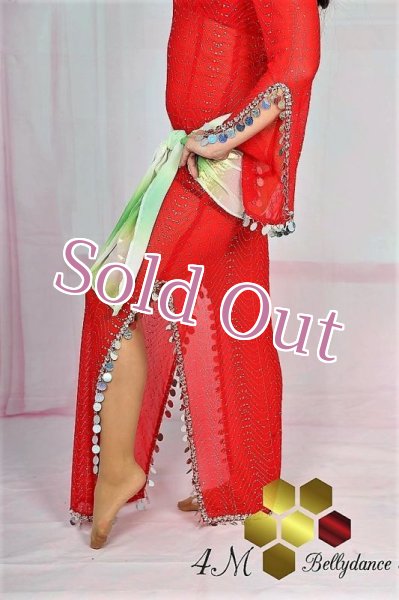 画像6: バラディNo,75 (6)