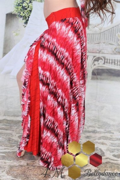 画像6: グループコスチューム　No,1 (6)