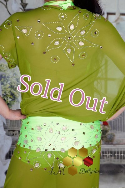 画像6: バラディNo,79 (6)