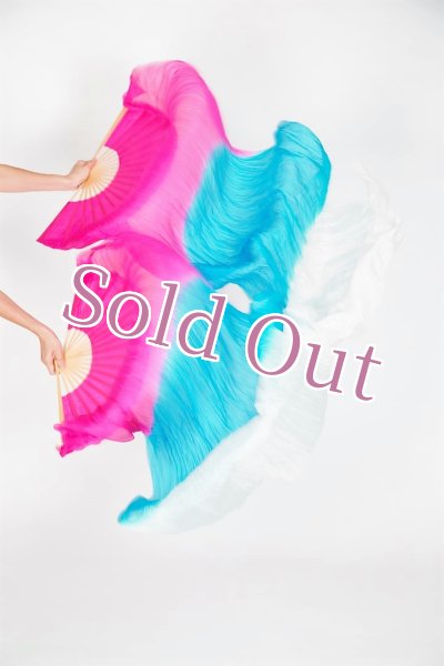 画像1: ファンベール53 (1)