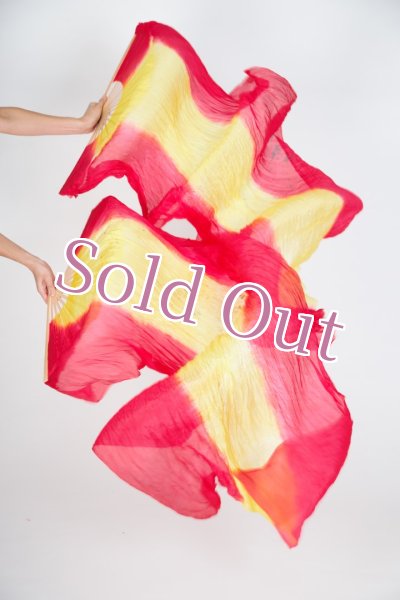 画像1: ファンベール5 (1)