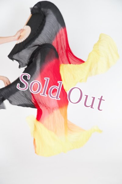 画像1: ファンベール14 (1)