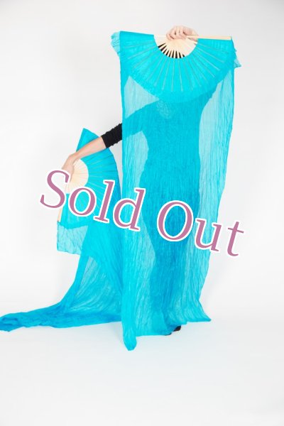 画像2: ファンベール51 (2)