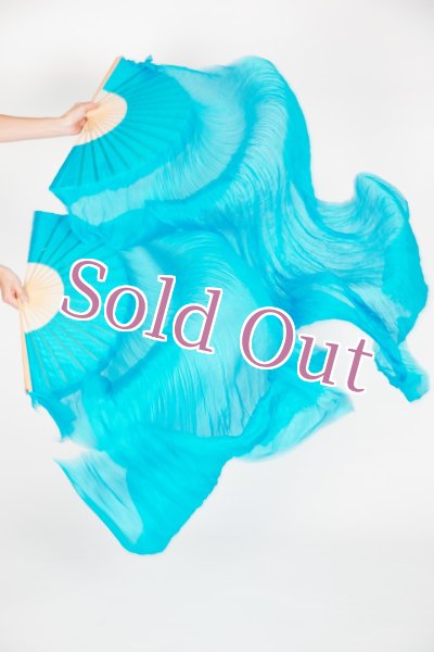 画像1: ファンベール51 (1)