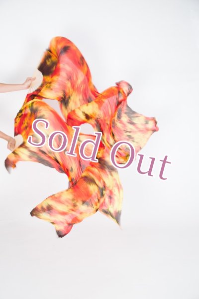 画像1: ファンベール48 (1)