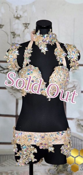 画像1: ブラベルト No,1 (1)