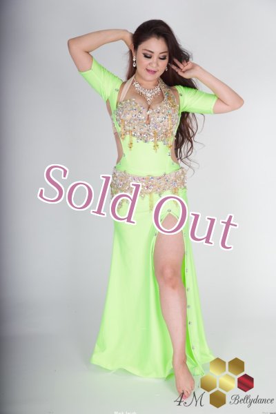 画像10: ブラベルト No,1 (10)