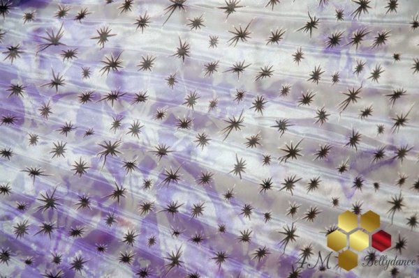 画像4: イシスウィング22 スター (4)