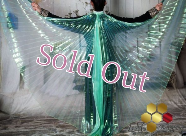 画像1: イシスウィング17　オーロラグリーン (1)