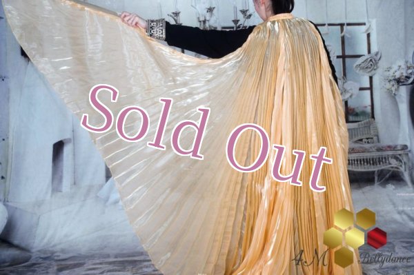 画像2: イシスウィング12　ベージュゴールド (2)