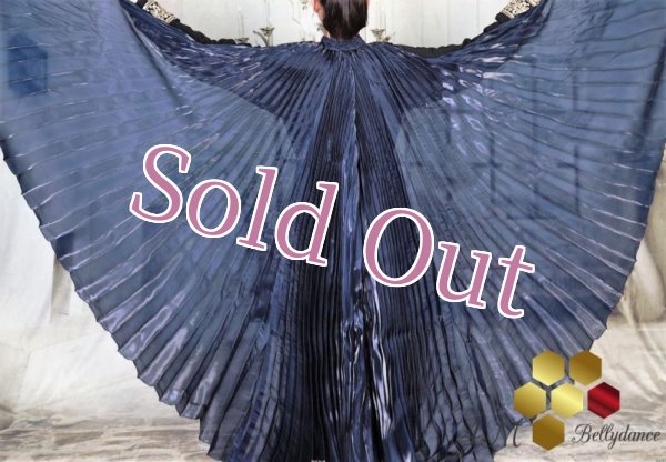 画像1: イシスウィング6　ネイビー (1)