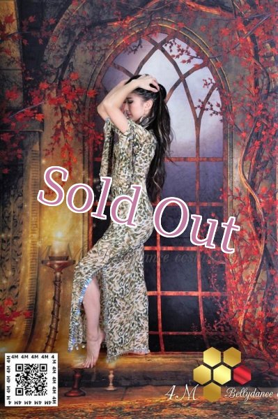 画像3: サイディ (3)