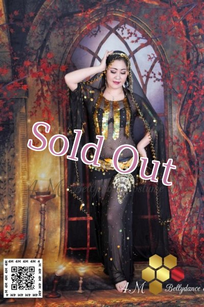 画像2: ガワジー(Ghawazee) (2)