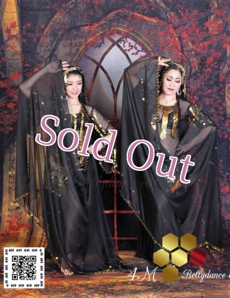 画像10: ガワジー(Ghawazee) (10)