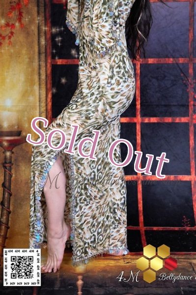 画像4: サイディ (4)