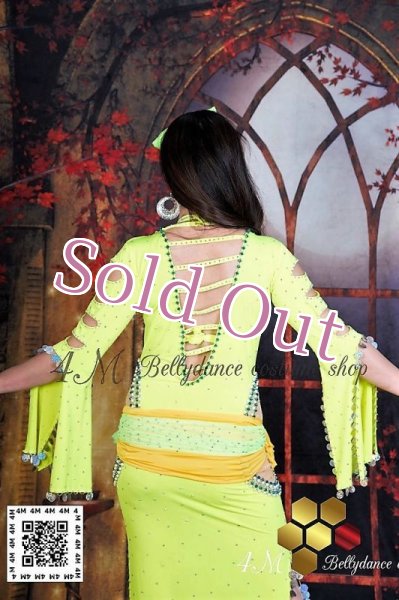 画像9: サイディ (9)