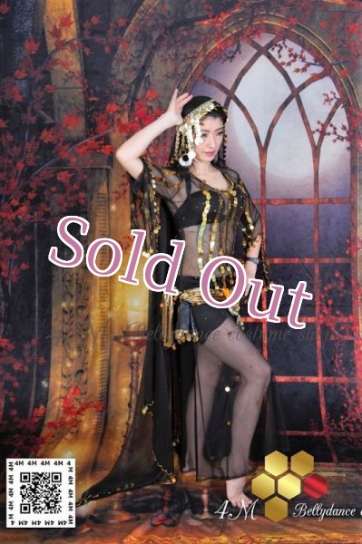 画像3: ガワジー(Ghawazee) (3)