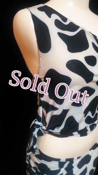 画像4: Lesson Wear(レッスンウェア）No,1 (4)