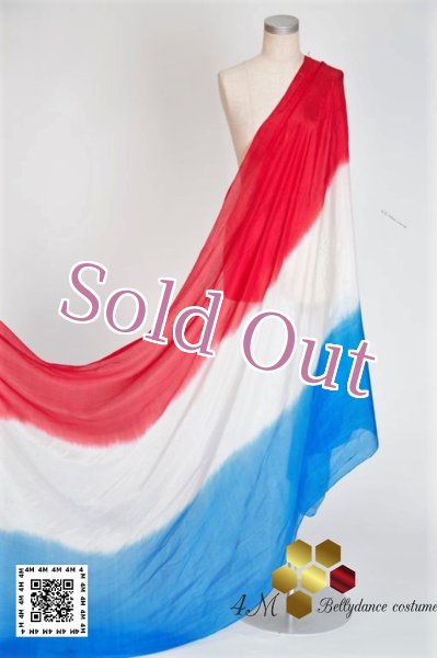 画像1: べール (1)