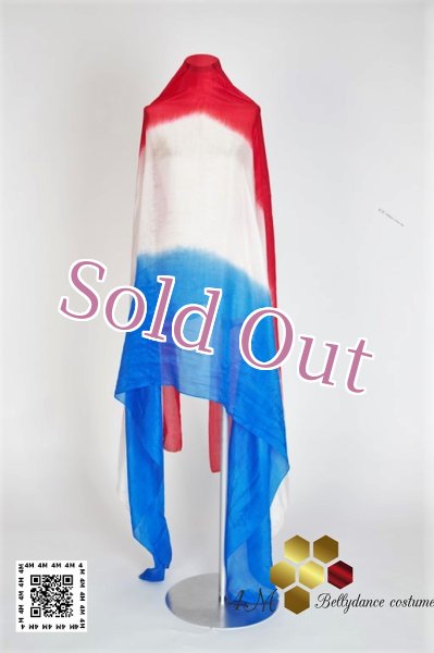 画像2: べール (2)