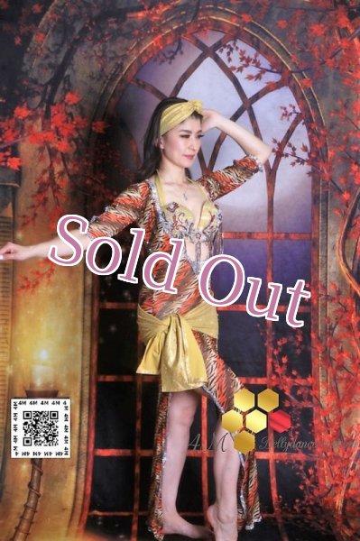 画像4: バラディNo,170 (4)