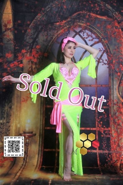 画像3: バラディNo,172 (3)