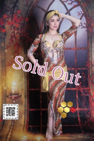 画像1: バラディNo,170 (1)