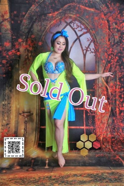 画像2: バラディNo,176 (2)