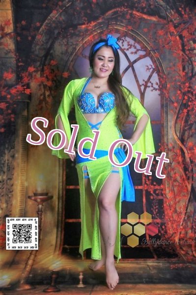 画像1: バラディNo,176 (1)