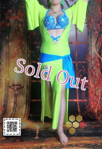 画像5: バラディNo,176 (5)