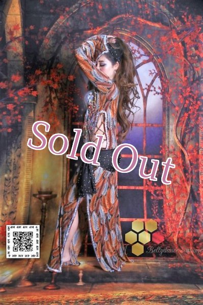 画像3: バラディNo,184 (3)