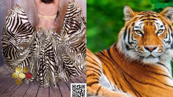 画像15: Aziza No,87 (15)