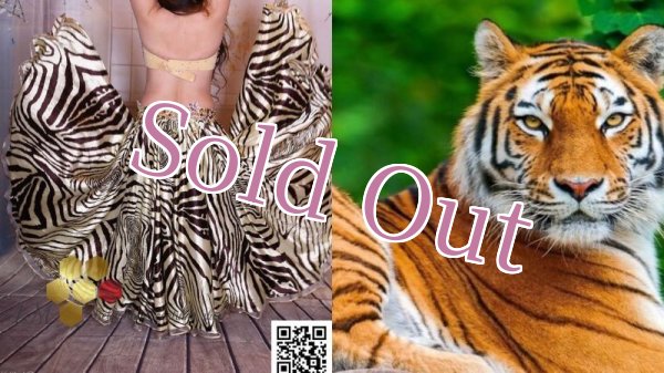 画像15: Aziza No,87 (15)