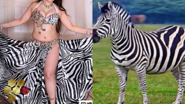 画像16: Aziza No,85 (16)