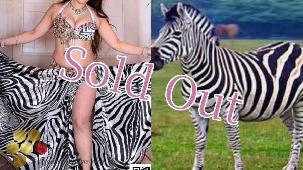 画像16: Aziza No,85 (16)