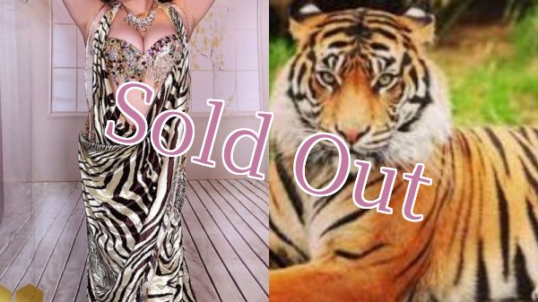 画像14: Aziza No,87 (14)