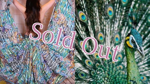 画像17: Aziza No,89 (17)