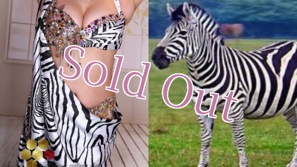 画像17: Aziza No,85 (17)