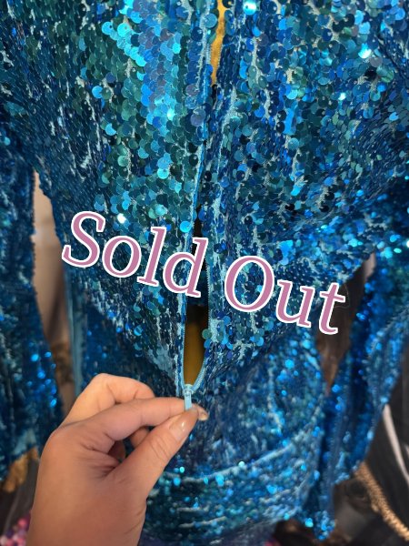 画像7: スパンコールサイディNo,8 (7)