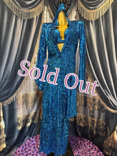 画像3: スパンコールサイディNo,8 (3)