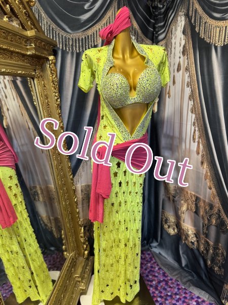 画像1: バラディNo,335 (1)