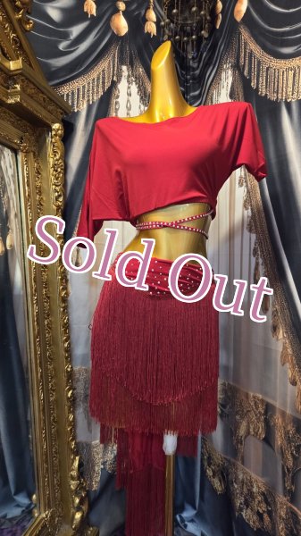 画像1: レッスンウェア 13R (1)