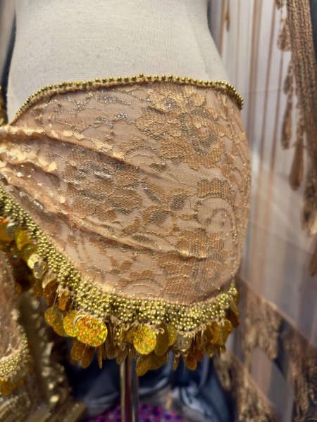 画像2: エジプト製ヒップスカーフ no.16 (2)