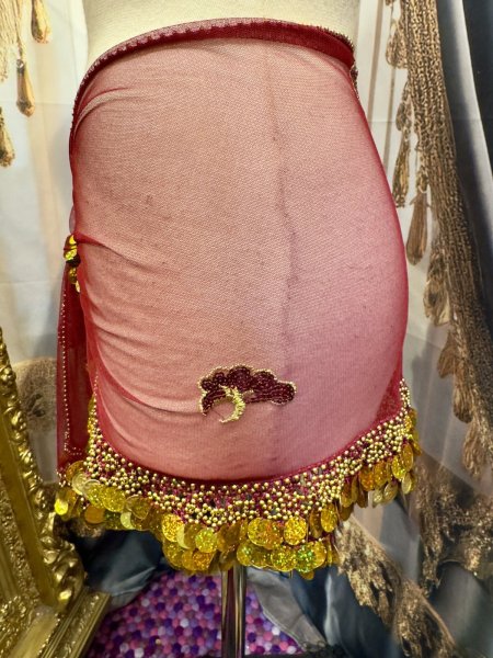 画像2: エジプト製ヒップスカーフ no.21 (2)