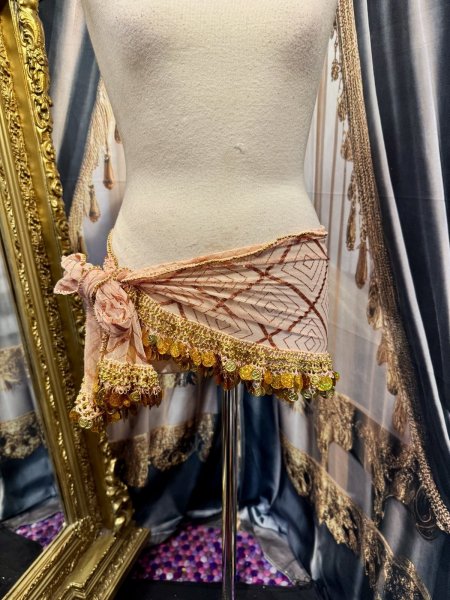 画像1: エジプト製ヒップスカーフ no.15 (1)