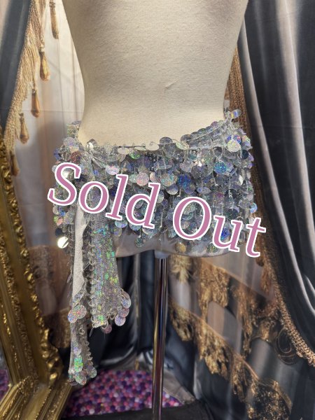 画像1: エジプト製ヒップスカーフ　no.2 (1)